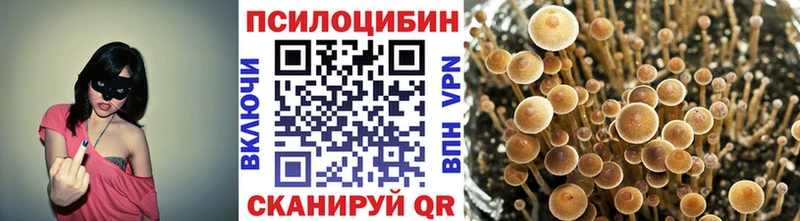 купить наркоту  площадка как зайти  Галлюциногенные грибы ЛСД  Починок 